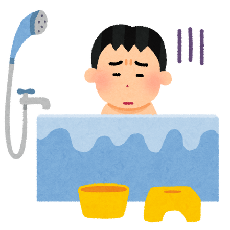 風呂にチョウバエが湧いてるんやが助けて