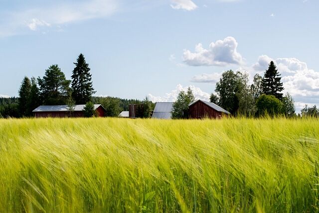 field-8139258_640