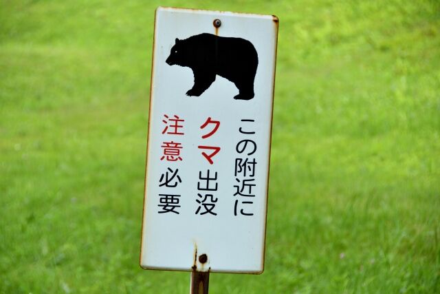 クマ狩りで山に向かった猟友会8人組、返り討ちにあう