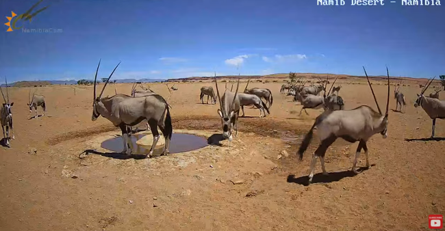 Namibia-Live-stream-in-the-Namib-Desert-YouTube