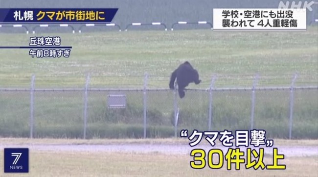 【画像】熊「よっこらしょ……」