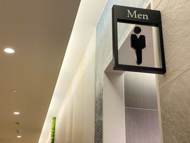 【画像】なんだよこのトイレ……