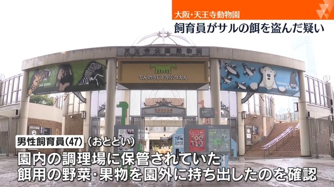 天王寺動物園でサルのエサが相次いでなくなる　窃盗の疑いで飼育員の男を逮捕