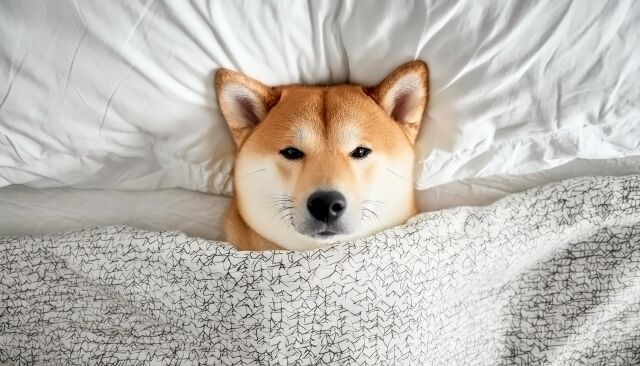 急に寒いんだけど何事！！！？