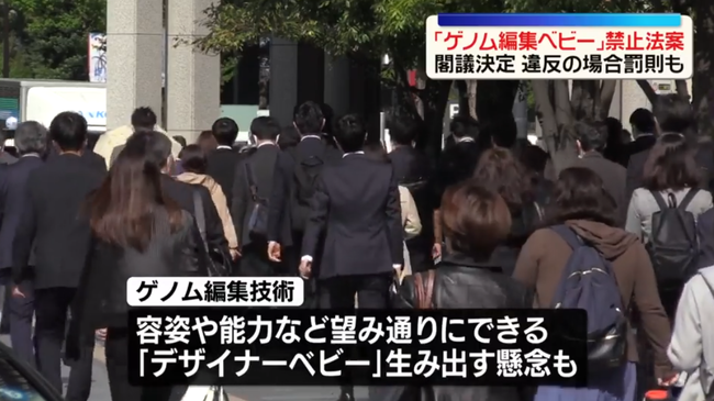 政府「ゲノム編集ベビー」規制法案を閣議決定