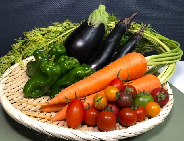 食べ物の好き嫌いの原因は「遺伝」と「環境」