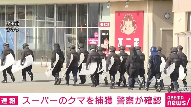 秋田のスーパーのクマ、殺処分された模様