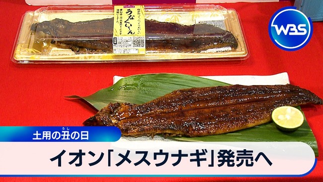 【朗報】大豆イソフラボンでメスにされたウナギ、イオンで売られる
