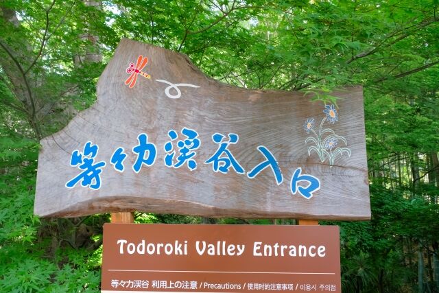 【悲報】クマ、将来的には世田谷区に出没の可能性も…