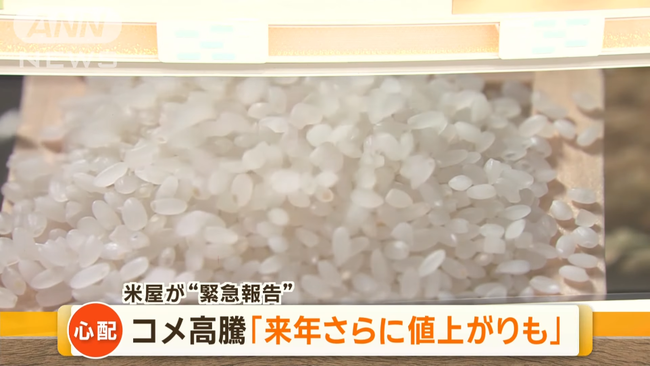 【悲報】 米屋「来年はさらにコメ値上がるかも」