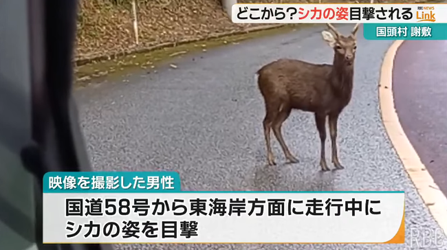 1638f109-4354-450b-b57c-0a42ce516ad8