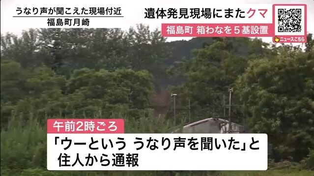 ce5b0b01-65c8-4c1e-8a99-7d707d421465