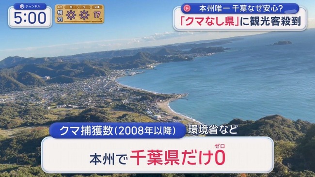 【朗報】千葉県、クマが入ってこない聖域だった