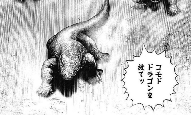 インドネシア政府、コモドドラゴンを繁殖目的として日本に貸与へ