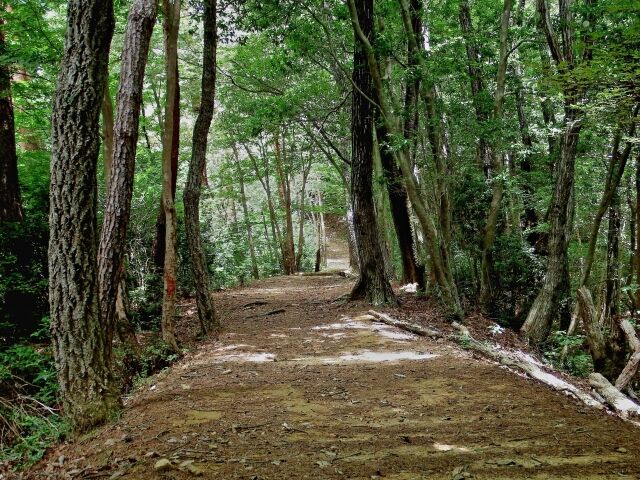 社会科見学で小学生を引率していたガイド、クマを警戒して声出しをした結果……