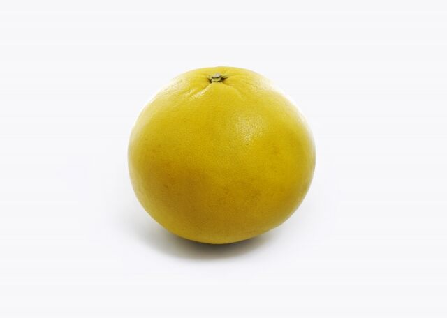 世界最大のかんきつ、あまりにもデカい