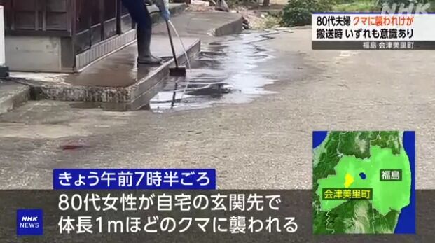 【悲報】80代夫婦、自宅前の玄関先でクマに襲われ怪我