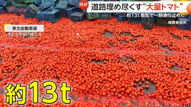 【悲報】 東北道、積み荷が散乱しトマトで埋め尽くされてしまう