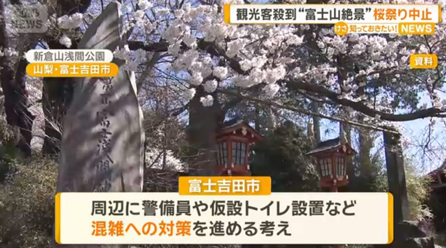 新倉山浅間公園桜まつり、オーバーツーリズムが原因で今年は中止に　住民「観光客に庭先で????される????」