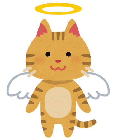 pet_angel_cat