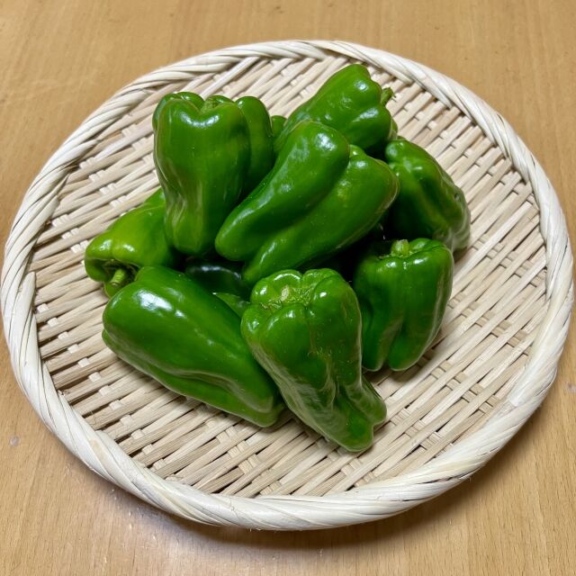 なんで子供の頃ピーマン嫌いだったんだろうと思う
