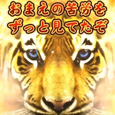 CcvZVWPg_400x400