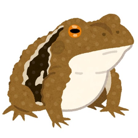 frog_hikigaeru