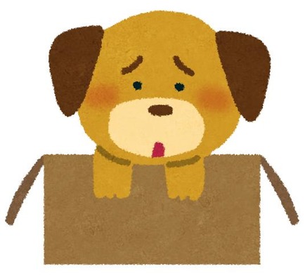 pet_suteinu (1)