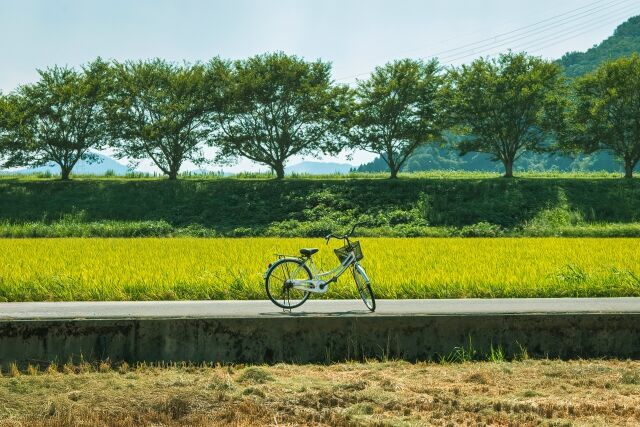 田舎で大人の男が自転車乗ってるとそんなに浮くの？