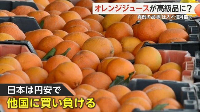 【悲報】 オレンジジュース、不作と高騰で次々と販売休止に