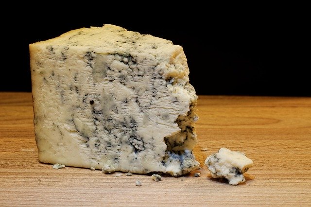 mold-cheese-933309_640