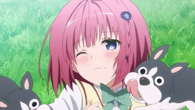 大体どんな漫画でもタイトルにダークネスってつけるとな淫らな雰囲気が出てくる説