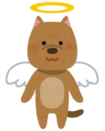 pet_angel_dog