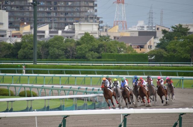 【急募】競馬をやめるため、日曜に身動きを取れなくする方法