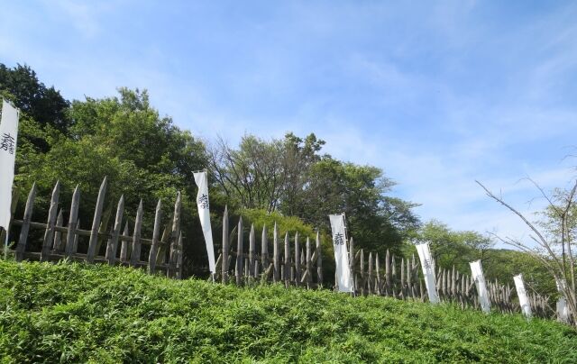 もし関ケ原の戦いで東軍が負けてたならその後どうなってたん？