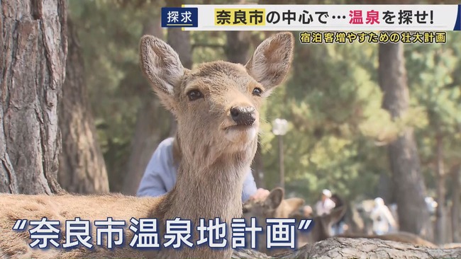 奈良市・行政主体で温泉を探す計画が発足　宿泊客の増加が狙い