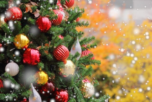 近藤春菜さん、クリスマスイブのホテル大浴場で珍事件発生！