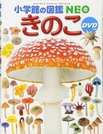 2099345_201710200276048001508495788c