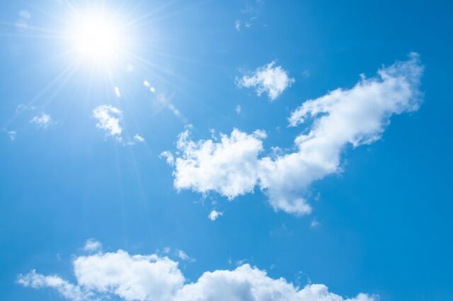 【労報】わい工場作業員、今季初4リットルの麦茶を飲み干す