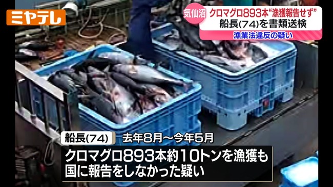 e2bce6cd-5a47-4a89-b010-982d7563e4e6