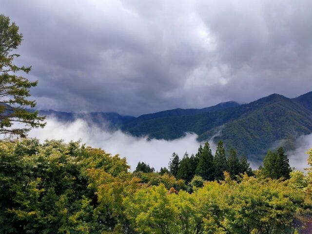 秩父の三峯神社、帰りの道路が凍結 → 参拝客が帰れず一晩を過ごすはめに