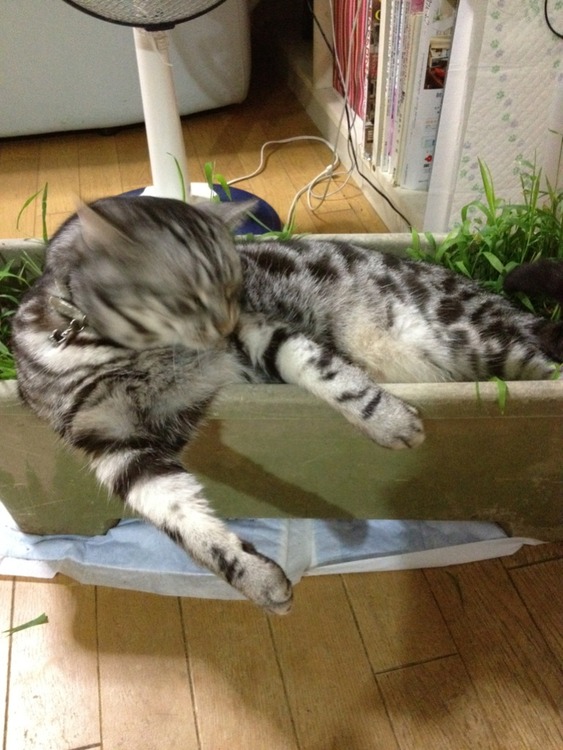 agpiZWViZWUyc2VlchULEgxJbWFnZUFuZFRleHQY_eX5Bgw