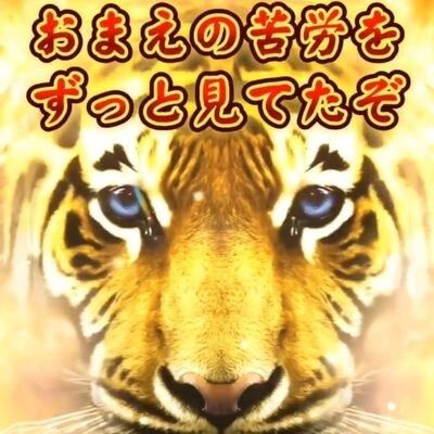 CcvZVWPg_400x400