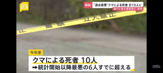 【悲報】クマによる死者、計10人　統計開始以降最多に