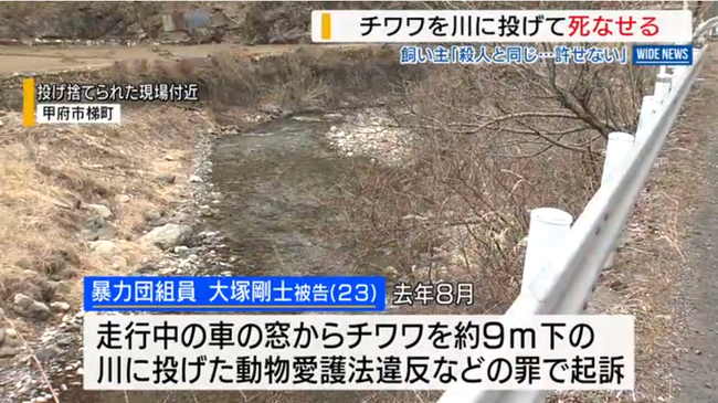 盗んだ車に乗っていたチワワを9m下の川に投げ捨て死なせる　暴力団組員の男を起訴
