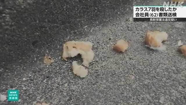 農薬入りパンくずをマンション付近に撒きカラス7羽を死なせた疑いで男を書類送検