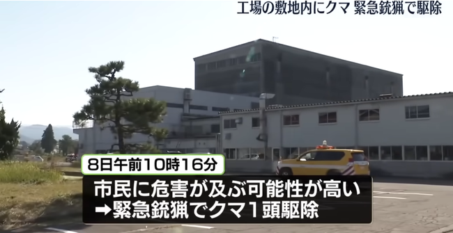 工場にこもったクマ、地元ハンターに1発で仕留められる