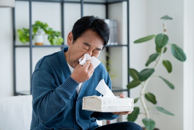 なんG、30超えてから花粉症になった部。まじで今まで甘えとか言ってすまんかった