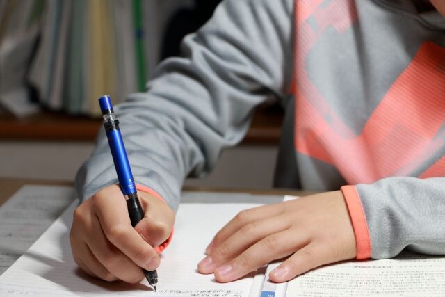 「1/2と1/3のどちらが大きい？」X民A「1/2に決まってんだろ」X民B「いや、そうとは限らない！！！」