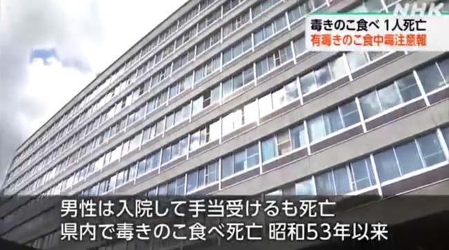 お腹が空いて道端の毒きのこを食べた男性、死亡